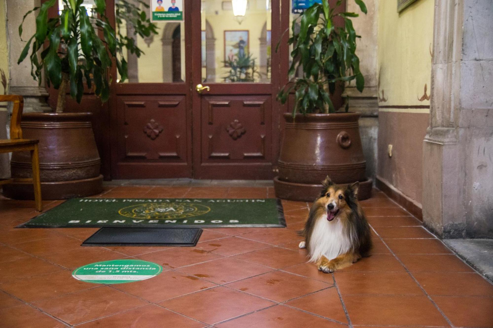 Hotel Posada San Agustin Дуранго Экстерьер фото