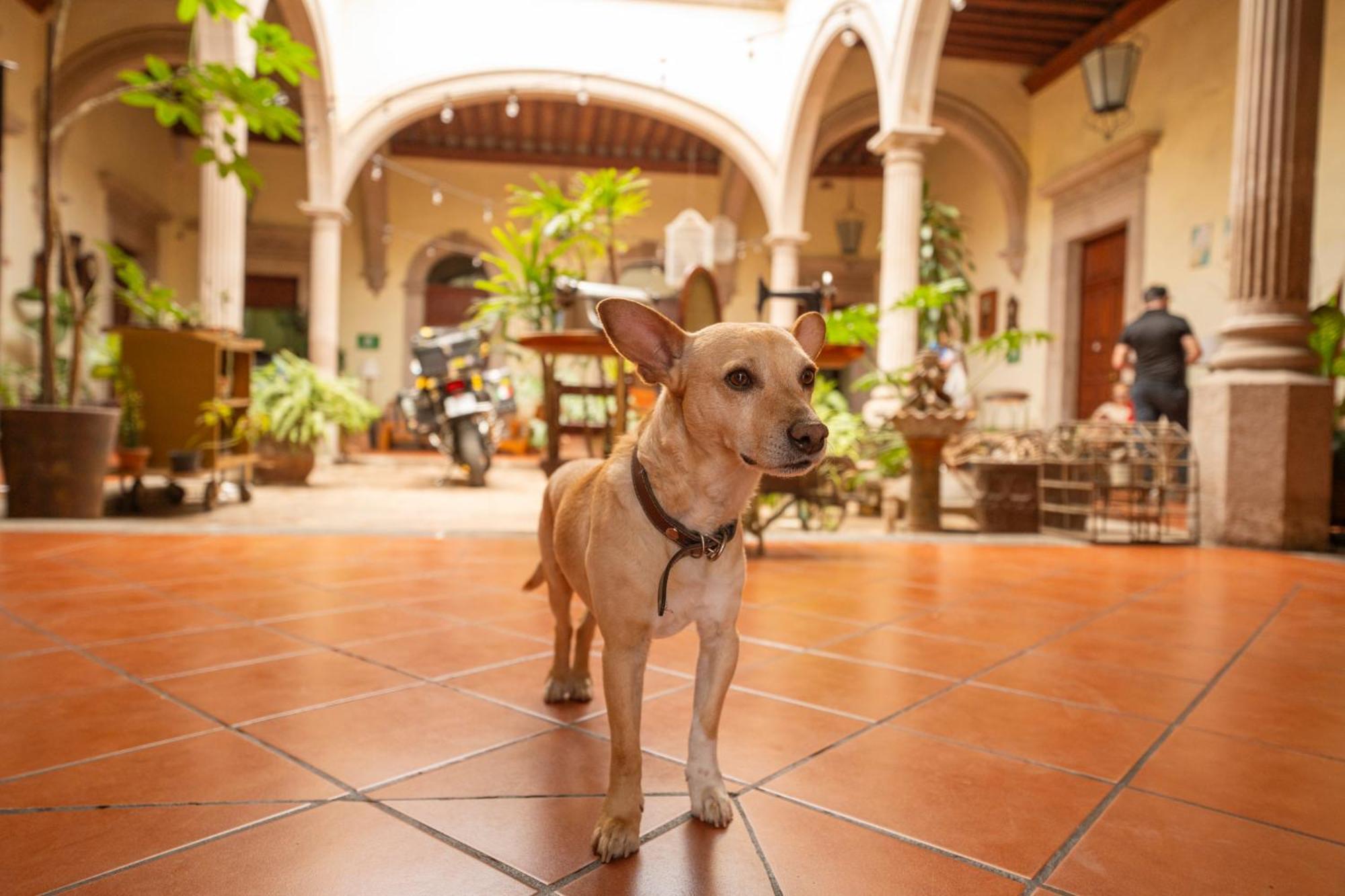 Hotel Posada San Agustin Дуранго Экстерьер фото